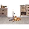 Kitty Power Paws Play & Scratch Scratching Post by Prevue Pet Products