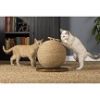 Pet Kitty Power Paws Sphere Cat Scratching Post by Prevue